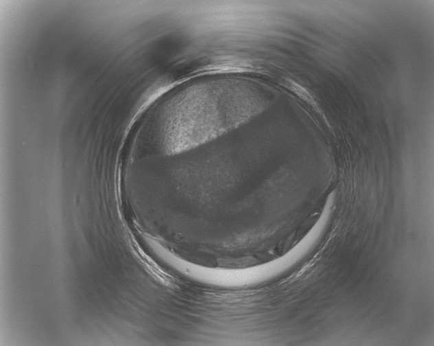 X0000061151179200512022306