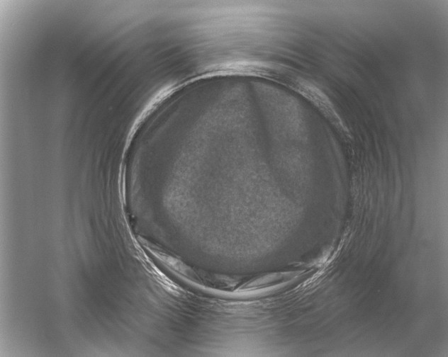 X0000061151180200512022306