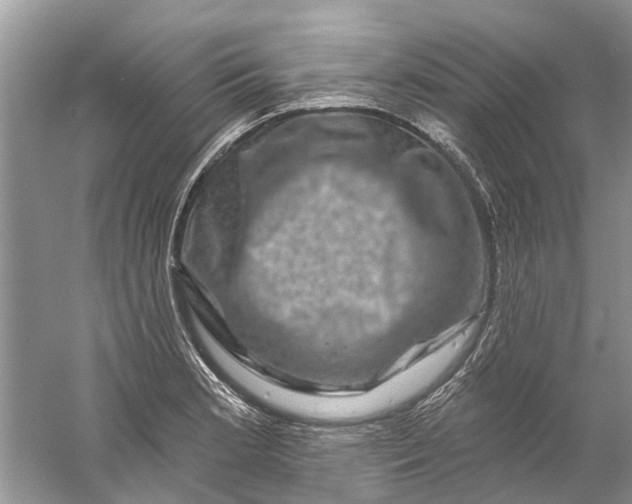 X0000061151181200512022306