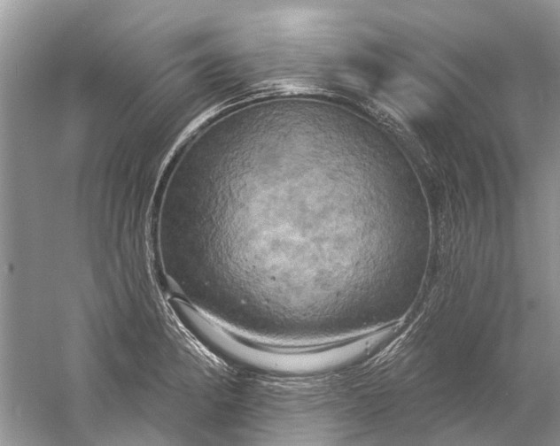 X0000061151182200512022306