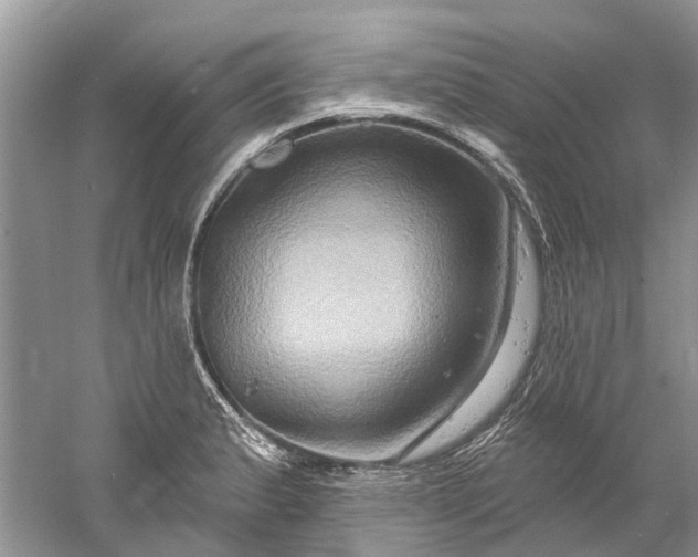 X0000061151183200512022306