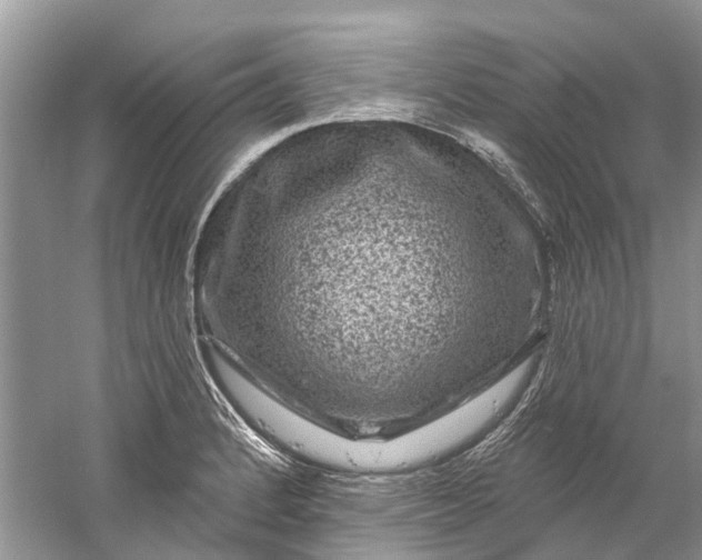 X0000061151184200512022306