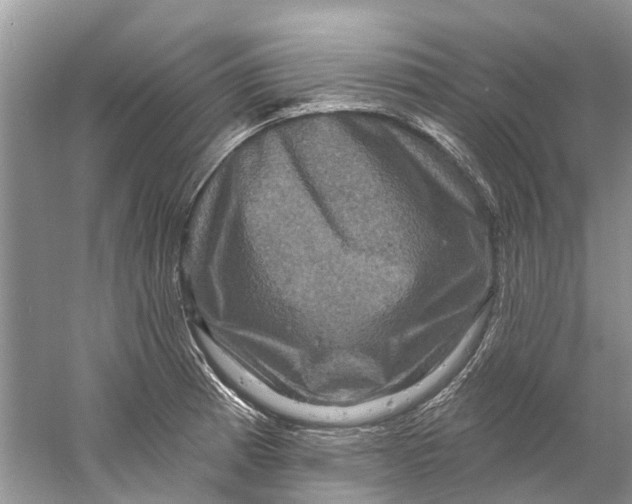 X0000061151185200512022306