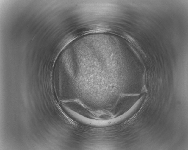 X0000061151186200512022306