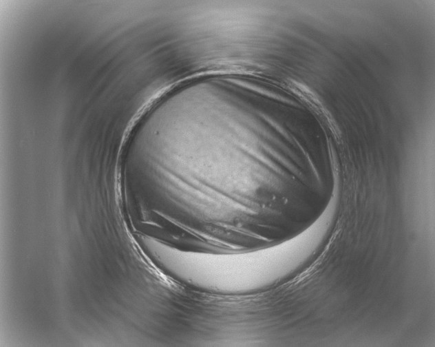 X0000061151188200512022306