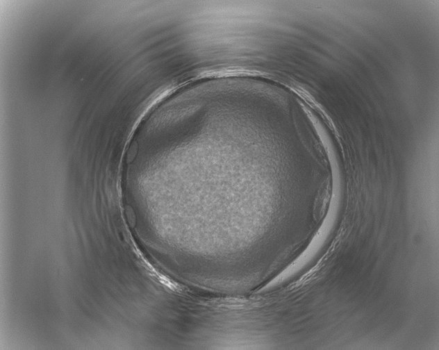 X0000061151189200512022306