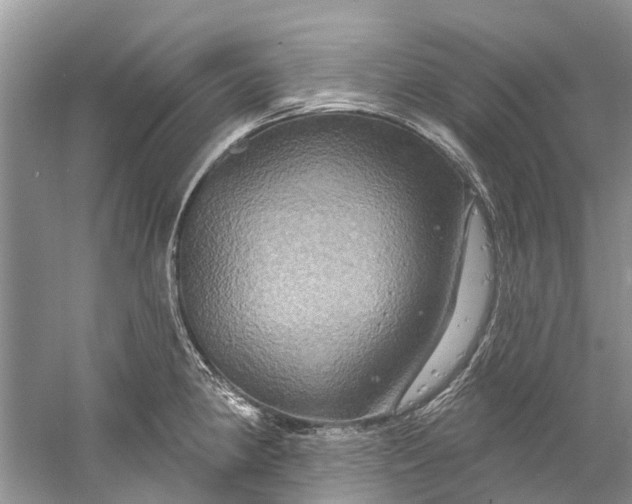 X0000061151190200512022306