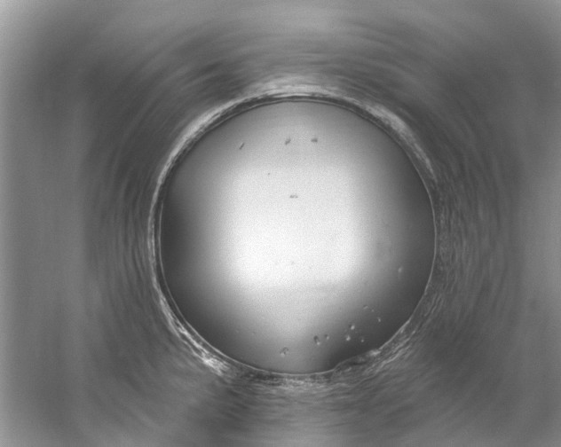 X0000061151191200512022306