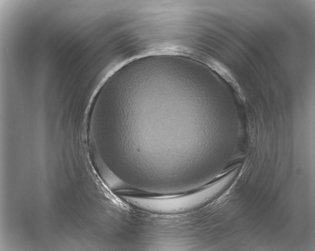 X0000061151192200512022306