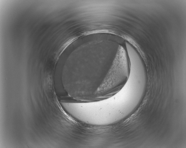 X0000061151193200512022306