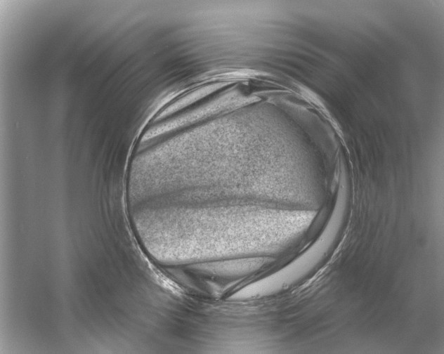 X0000061151194200512022306