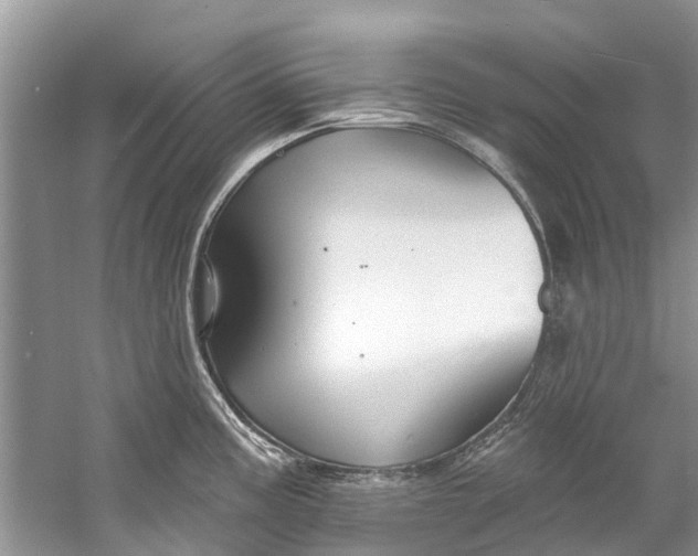 X0000061151195200512022306