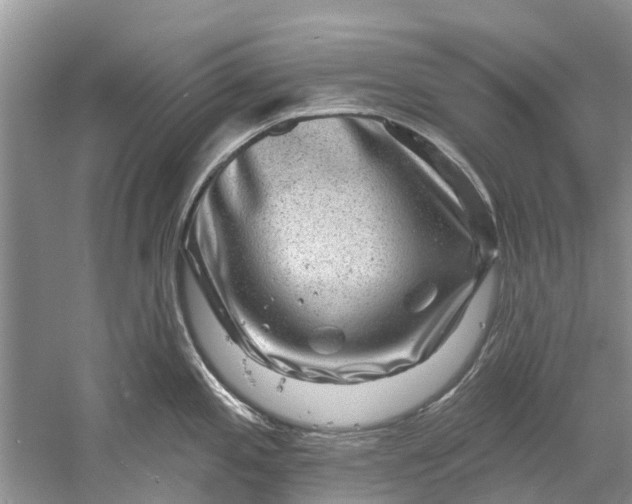 X0000061151197200512022306