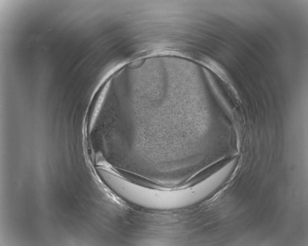 X0000061151198200512022306