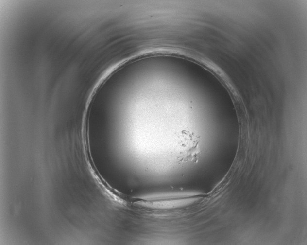 X0000061151199200512022306