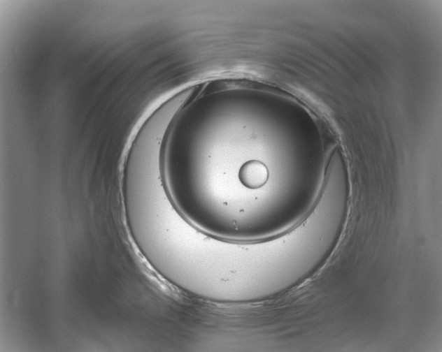 X0000061151200200512022306