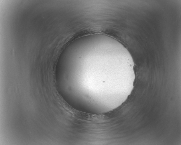 X0000061151201200512022305