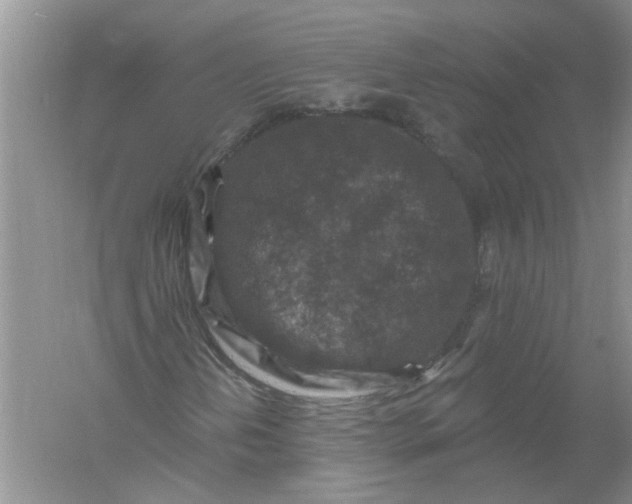 X0000061151202200512022305