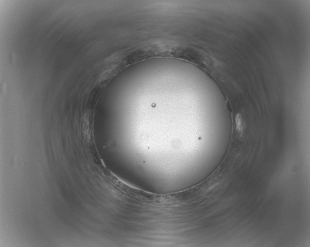 X0000061151203200512022305