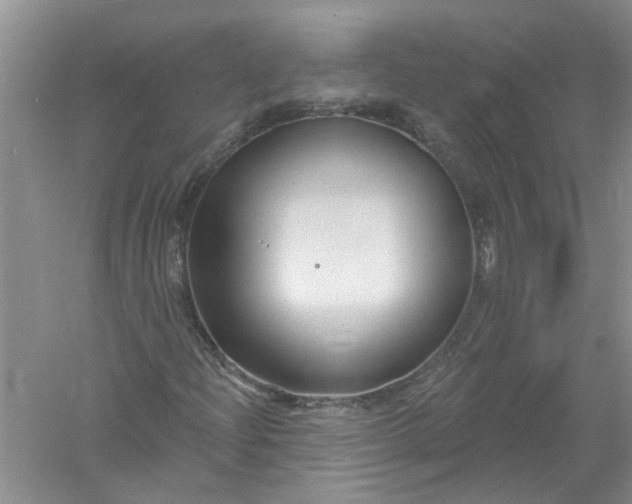 X0000061151204200512022305