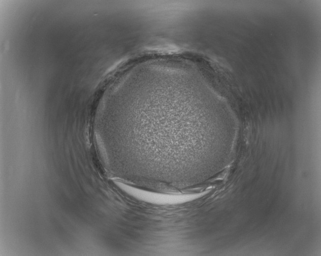 X0000061151205200512022305