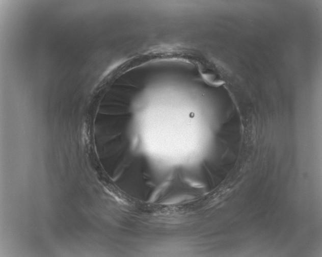 X0000061151206200512022305