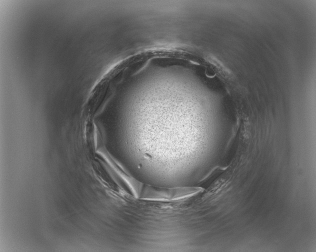 X0000061151208200512022305