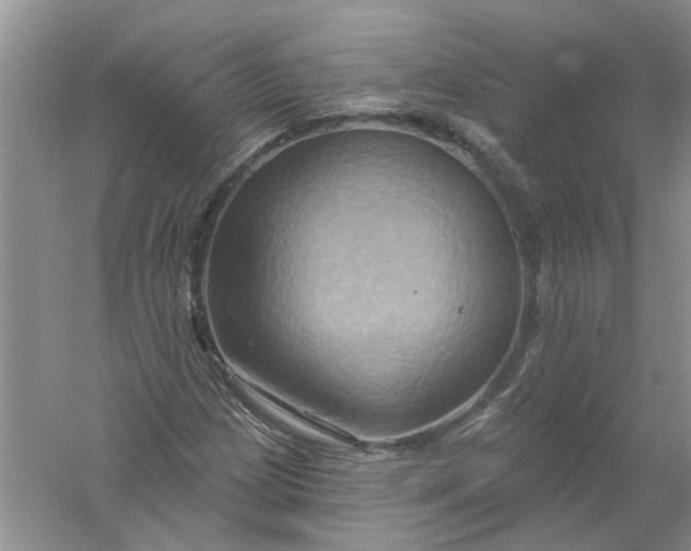 X0000061151209200512022305