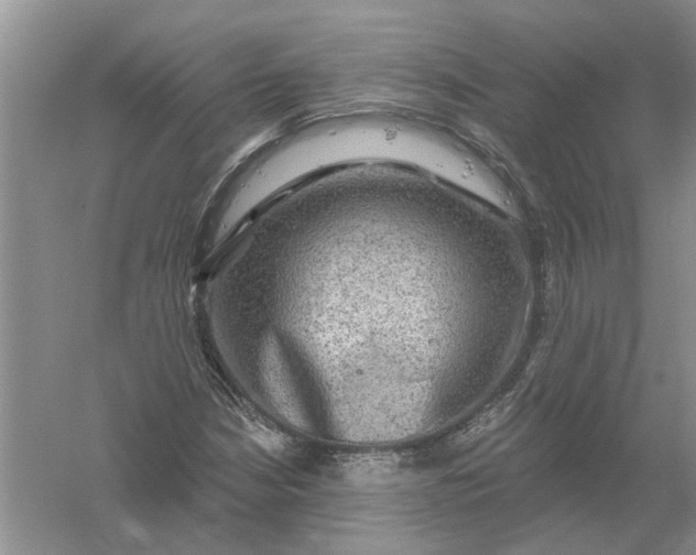 X0000061151210200512022305