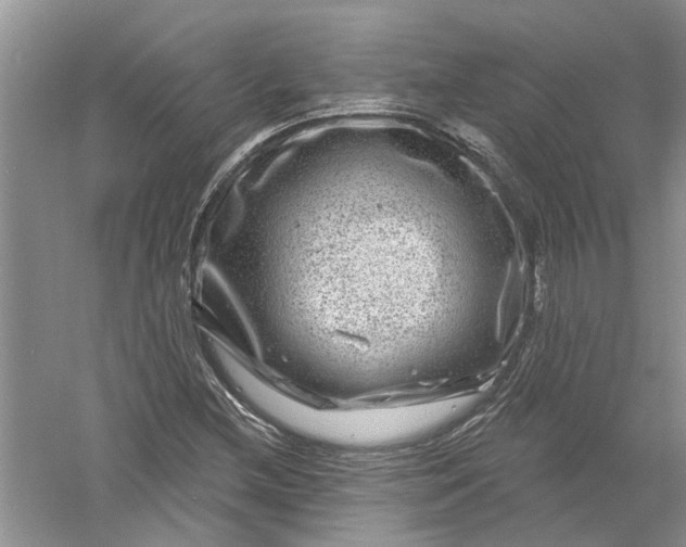 X0000061151212200512022305