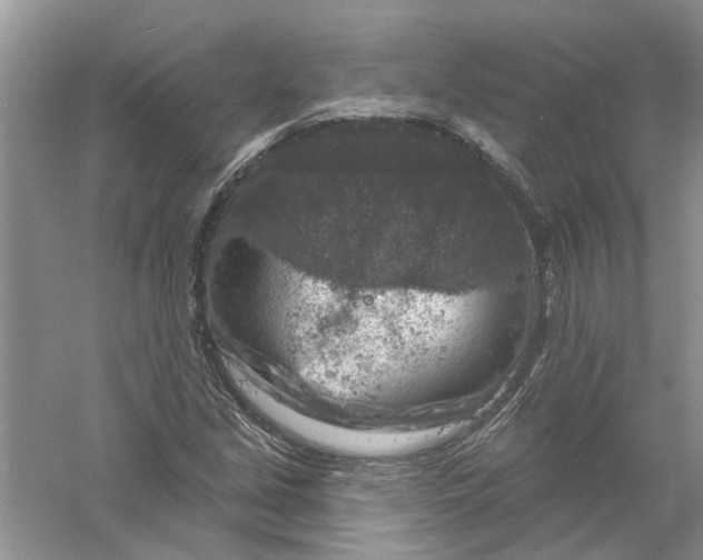 X0000061151213200512022305