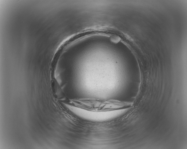 X0000061151214200512022305