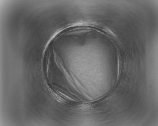 X0000061151216200512022305