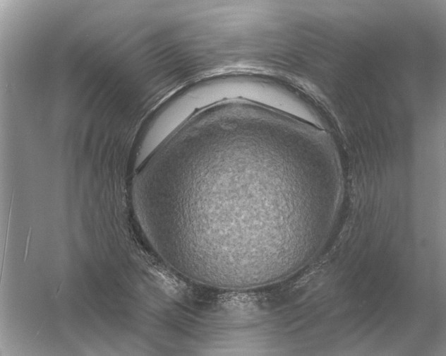 X0000061151217200512022305