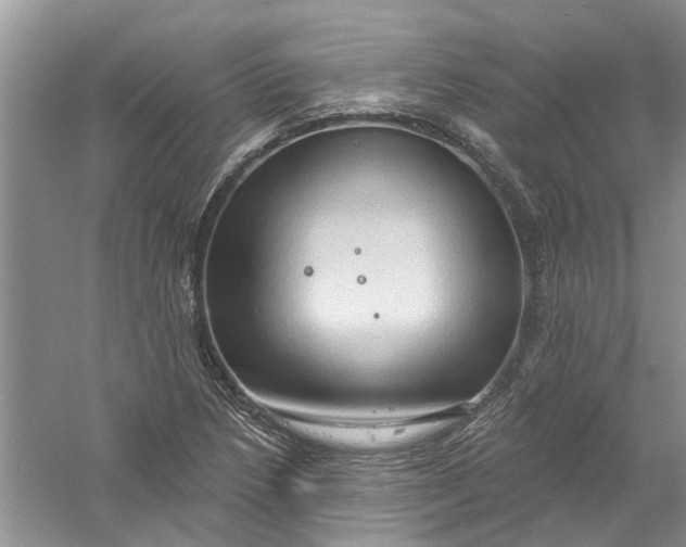 X0000061151218200512022305