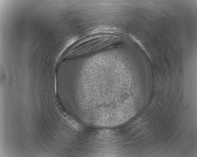 X0000061151219200512022305