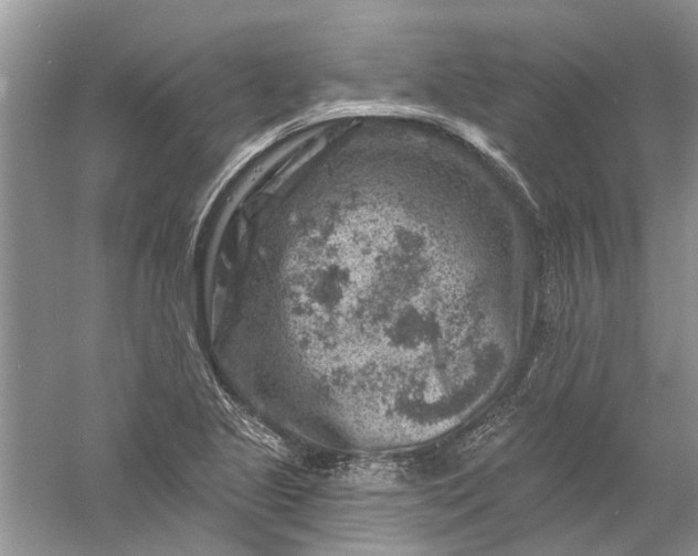 X0000061151221200512022305