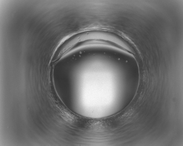 X0000061151222200512022305