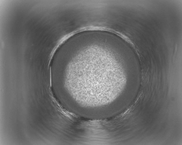 X0000061151223200512022305