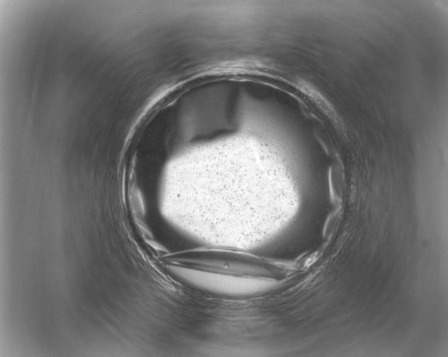 X0000061151224200512022305