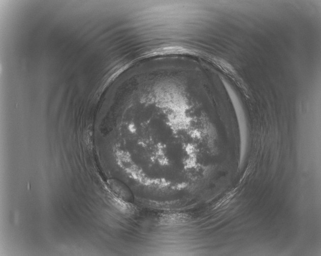 X0000061151225200512022305