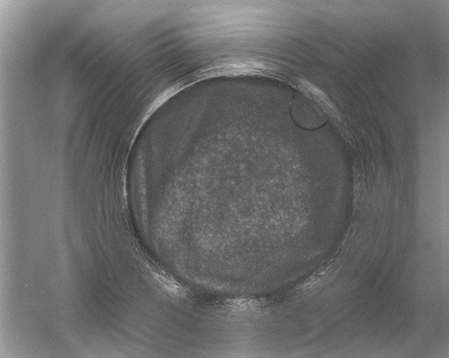 X0000061151226200512022305