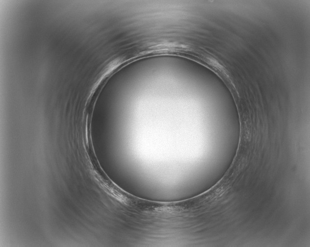 X0000061151227200512022305