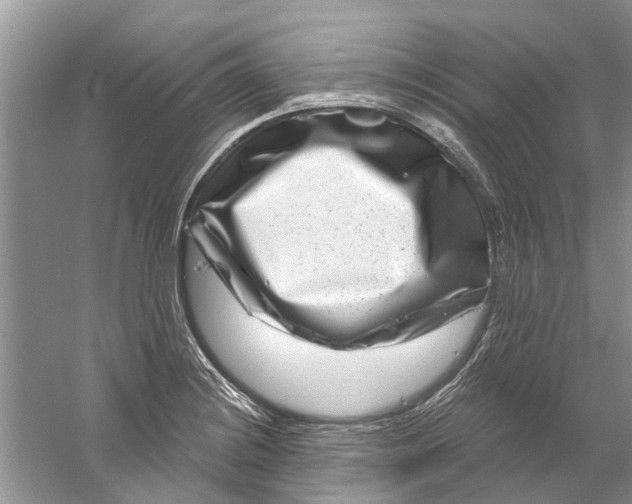 X0000061151228200512022305