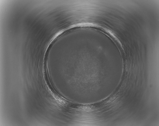 X0000061151229200512022305