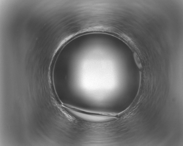 X0000061151230200512022305