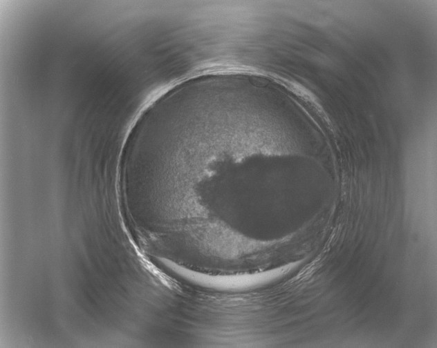 X0000061151231200512022305