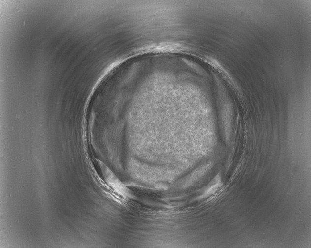 X0000061151232200512022305