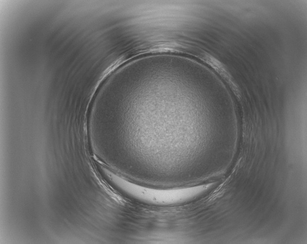 X0000061151234200512022305