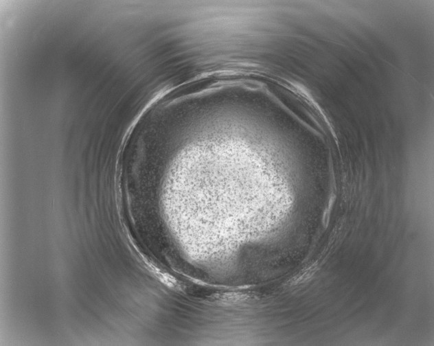 X0000061151235200512022306